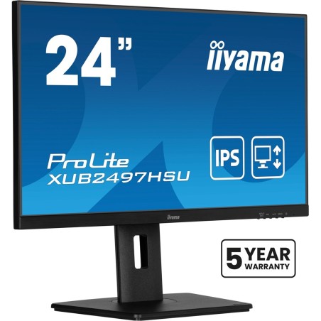 Monitor IPS 1H 1DP, 2x2.0, 100Hz