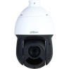 Dahua Technology WizSense SD49216DB-HNY Douszne Kamera bezpieczeństwa IP Wewnętrz i na wolnym powietrzu 1920 x 1080 px Sufit /