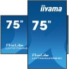 Monitor Iiyama Display Public 75 LH7565UHSB-B1 UHD