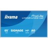 Monitor IIYAMA 164.0cm (64,5") LH6581UHSG-1AG 16:9 2xHDMI+USB-C (Speditionsversand)
