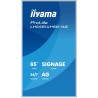 Monitor IIYAMA 164.0cm (64,5") LH6581UHSG-1AG 16:9 2xHDMI+USB-C (Speditionsversand)