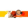 3Coty CHICKEN + KRILL for Adult cats 180g 3Coty CHICKEN + KRILL for Adult cats 180g