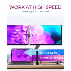 ICY BOX IB-DK2251AC Przewodowa USB 3.2 Gen 2 (3.1 Gen 2) Type-A Czarny