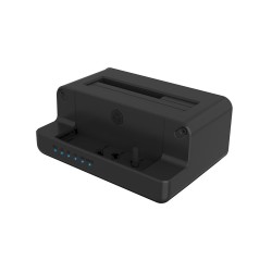 ICY BOX IB-2914MSCL-C31 USB 3.2 Gen 2 (3.1 Gen 2) Type-C Czarny