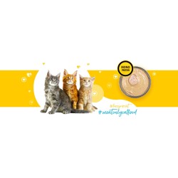 3Coty CHICKEN for Kittens 180g