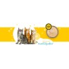 3Coty CHICKEN for Kittens 180g 3Coty CHICKEN for Kittens 180g