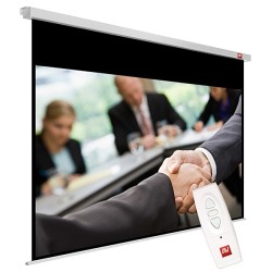 Ekran elektryczny Avtek Business Electric 300P