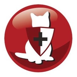 PREVITAL wołowina karma sucha dla kotów 300g