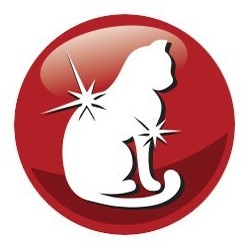 PREVITAL wołowina karma sucha dla kotów 300g