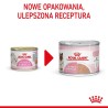 ROYAL CANIN FHN Babycat Instinctive Feline mus - mokra karma dla kociąt - puszka - 195 g