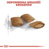 ROYAL CANIN Ageing +12 2kg ROYAL CANIN Ageing +12 2kg