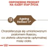 ROYAL CANIN Senior Ageing 12+ Sterilised - sucha karma dla kota - 4 kg ROYAL CANIN Senior Ageing 12+ Sterilised - sucha karma dla kota - 4 kg