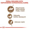 ROYAL CANIN Senior Ageing 12+ Sterilised - sucha karma dla kota - 4 kg ROYAL CANIN Senior Ageing 12+ Sterilised - sucha karma dla kota - 4 kg