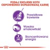 ROYAL CANIN Sensible 33 0,4kg ROYAL CANIN Sensible 33 0,4kg