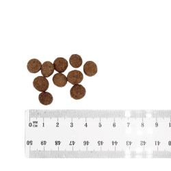 BULT Karma sucha z jagnię. dla psów małych ras 12kg