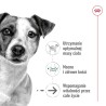 ROYAL CANIN Mini Ageing +12 3,5kg ROYAL CANIN Mini Ageing +12 3,5kg