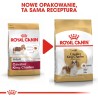 ROYAL CANIN BHN Cavalier King Charles Spaniel Adult - sucha karma dla psa dorosłego - 1,5kg