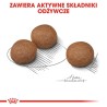 ROYAL CANIN CCN MEDIUM DIGESTIVE CARE - sucha karma dla psa dorosłego - 3kg ROYAL CANIN CCN MEDIUM DIGESTIVE CARE - sucha karma dla psa dorosłego - 3kg