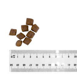 BULT Karma sucha z łososiem i pstrągiem dla psa 3kg