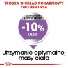 ROYAL CANIN CCN Medium Sterilised - sucha karma dla psa dorosłego - 3kg ROYAL CANIN CCN Medium Sterilised - sucha karma dla psa dorosłego - 3kg