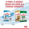 Royal Canin Puppy Mini SHN - sucha karma dla szczeniąt - 4 kg Royal Canin Puppy Mini SHN - sucha karma dla szczeniąt - 4 kg