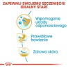 ROYAL CANIN BHN French Bulldog Puppy - sucha karma dla szczeniąt - 3kg ROYAL CANIN BHN French Bulldog Puppy - sucha karma dla szczeniąt - 3kg