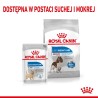 ROYAL CANIN CCN MEDIUM LIGHT WEIGHT CARE - sucha karma dla psa dorosłego - 3kg ROYAL CANIN CCN MEDIUM LIGHT WEIGHT CARE - sucha karma dla psa dorosłego - 3kg