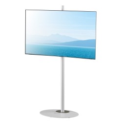 Techly ICA-TR544 uchwyt do telewizorów 165,1 cm (65") Biały