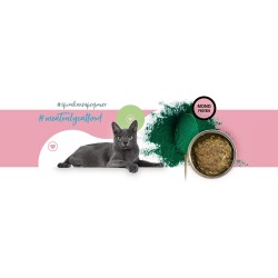 3Coty TURKEY with Spirulina for Adult cats 180g