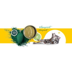 3Coty CHICKEN with Spirulina Baby&Mother Cats 180g