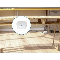Czujnik wody i zamarzania Anker Innovations (T89203D1)