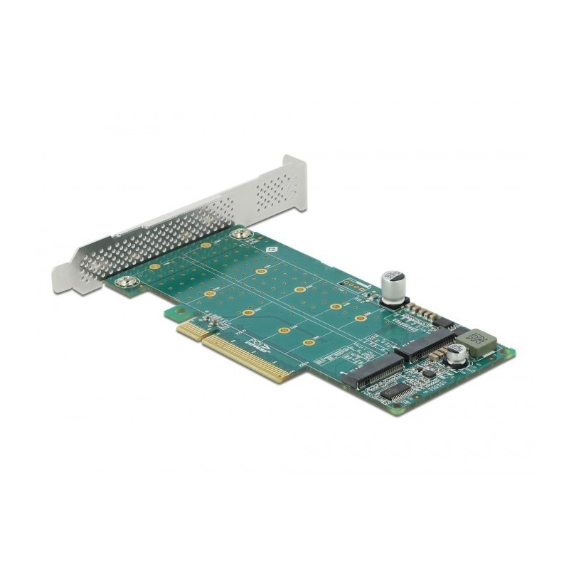 Delock PCI Express x8 Card 2 x internal NVMe M.2 Key M - Bifurcation - storage controller - M.2 NVMe Card - PCIe 4.0 x8 Delock PCI Express x8 Card 2 x internal NVMe M.2 Key M - Bifurcation - storage controller - M.2 NVMe Card - PCIe 4.0 x8
