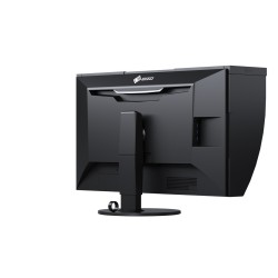 Monitor EIZO 79.0cm (31,1") CG319X 17:9 2xHDMI+2xDP+USB 4K