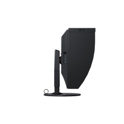 Monitor EIZO 79.0cm (31,1") CG319X 17:9 2xHDMI+2xDP+USB 4K