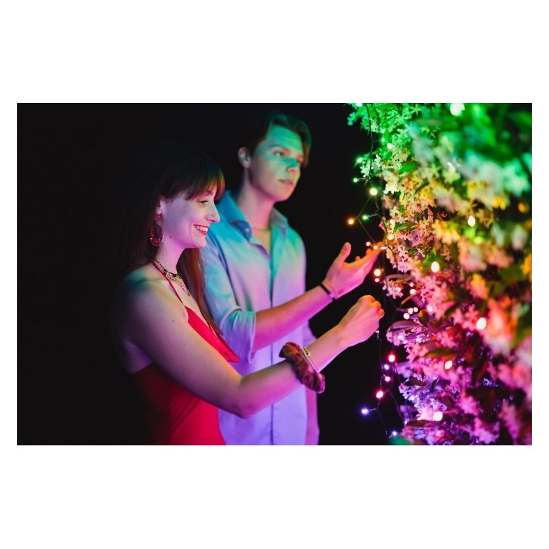 Twinkly Strings – 250 RGB+W Ciąg świetlny, przezroczysty przewód, typ wtyczki F