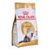 ROYAL CANIN Persian Adult 0,4kg