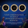 SHEBA Nature's Collection Drobiowe smaki w galarecie- Junior Kurczak/Łosoś - Mokra karma dla kota 40x85g