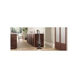Odkurzacz pionowy Electrolux ES52CB21DB Well Q7