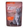 DOLINA NOTECI Rafi Cat Adult z kaczką - mokra karma dla kota - 100g