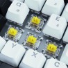 Sharkoon SKILLER SGK50 S3 klawiatura Gaming USB QWERTZ Niemiecki Biały