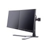 Uchwyt Iiyama DS1002D-B1 - stand z ramieniem regulowanym
