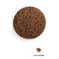 ORIJEN Cat 6 Ryb 5,4kg
