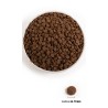 ACANA karma sucha dla kot 4,5kg kurczak indyk ACANA karma sucha dla kot 4,5kg kurczak indyk