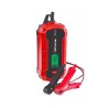 Einhell CE-BC 4 M pojazd ładowarki 12 V Czarny, Czerwony