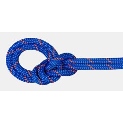 Lina wspinaczkowa Mammut 9.5 Crag Dry Rope 80 m - ocean/blue