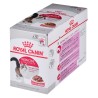 ROYAL CANIN FHN Instinctive w sosie - mokra karma dorosłych kotów - 12x 85 g ROYAL CANIN FHN Instinctive w sosie - mokra karma dorosłych kotów - 12x 85 g