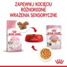 ROYAL CANIN FHN Kitten Instinctive in Jelly - mokra karma dla kociąt - 12x85g ROYAL CANIN FHN Kitten Instinctive in Jelly - mokra karma dla kociąt - 12x85g