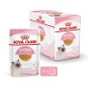 ROYAL CANIN FHN Kitten Instinctive in Jelly - mokra karma dla kociąt - 12x85g ROYAL CANIN FHN Kitten Instinctive in Jelly - mokra karma dla kociąt - 12x85g