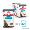 ROYAL CANIN FCN Urinary Care w sosie - mokra karma dla kota dorosłego - 12x85g ROYAL CANIN FCN Urinary Care w sosie - mokra karma dla kota dorosłego - 12x85g