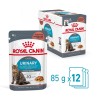 ROYAL CANIN FCN Urinary Care w sosie - mokra karma dla kota dorosłego - 12x85g ROYAL CANIN FCN Urinary Care w sosie - mokra karma dla kota dorosłego - 12x85g